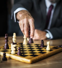 mk体育官网入口-中国篮球教练员职业发展规划及继续教育研究，中国篮球教练员职业发展规划及继续教育研究论文