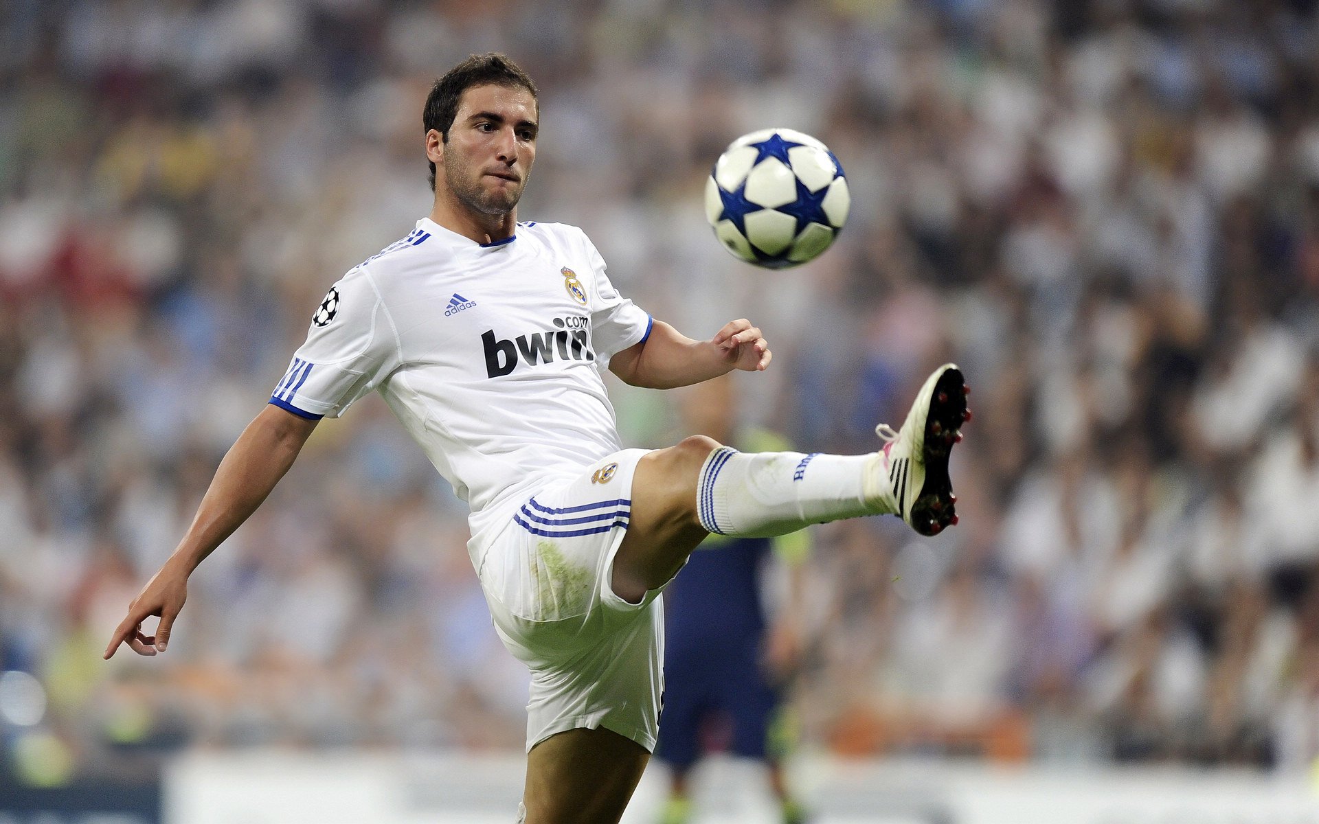 “高新体育中心武术赛:传统与现代结合,展现中国武术魅力”