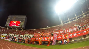 mk体育-场馆设施翻新完成比赛场地改造计划推进，场馆设计方案