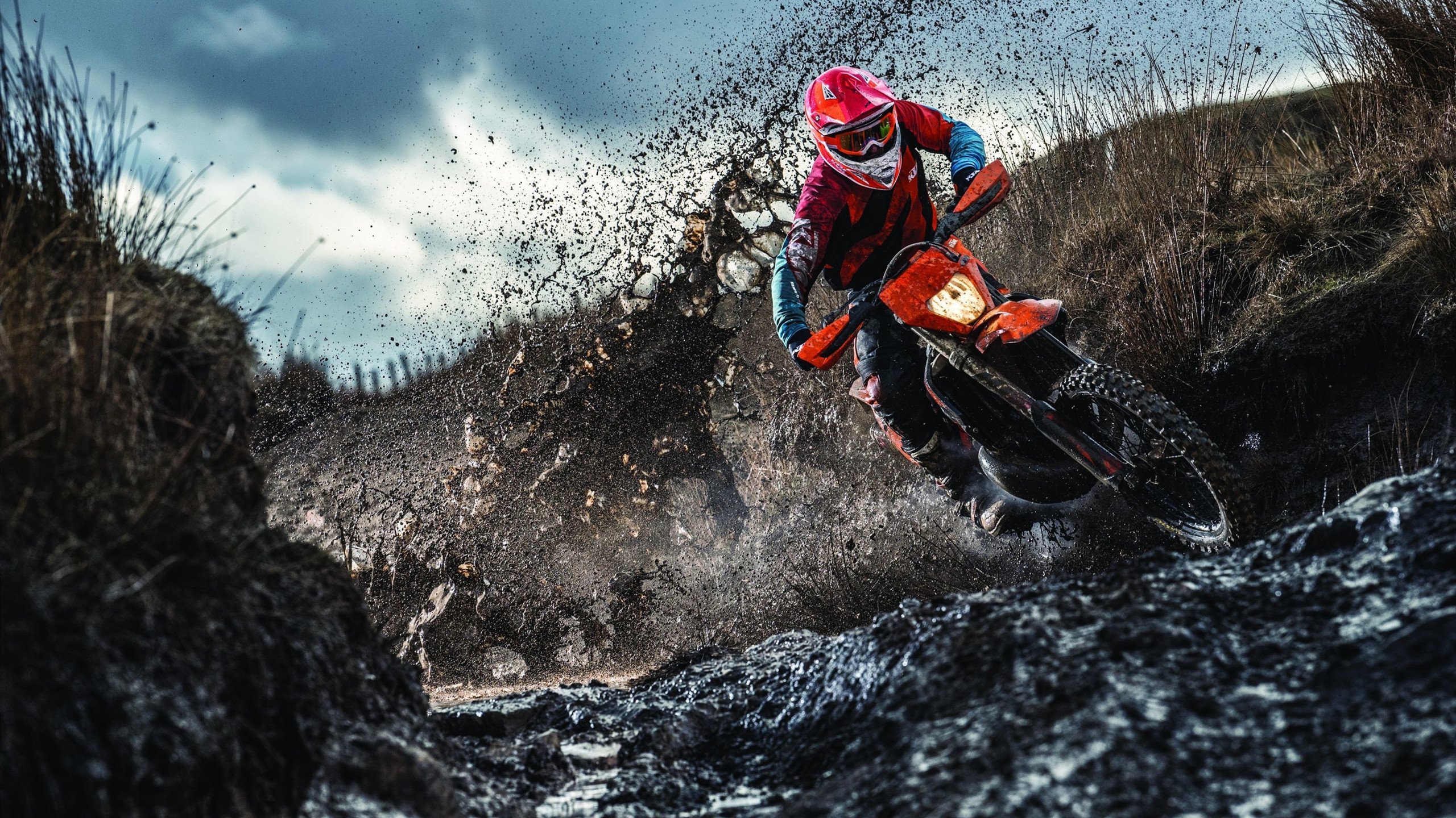 凯瑟琳·伯科夫刷新个人最佳成绩,凯瑟琳·博尔科娃