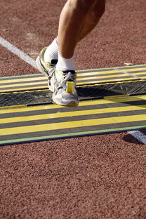 mk体育-国际体操锦标赛中国女队夺冠，国际体操联合会裁判